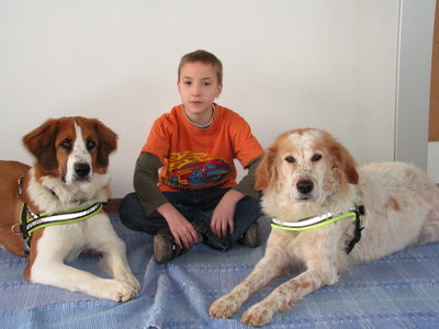 Sandy bea U 2 Febr 09 013.jpg