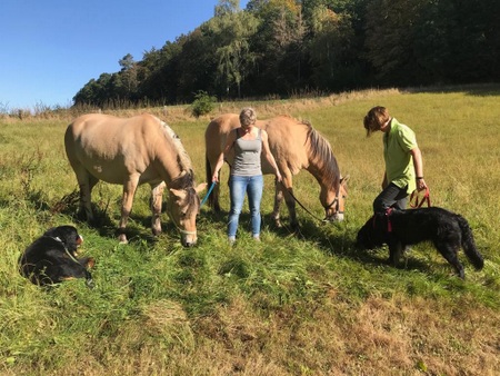 Bild 3 - 21.9.2019.jpg