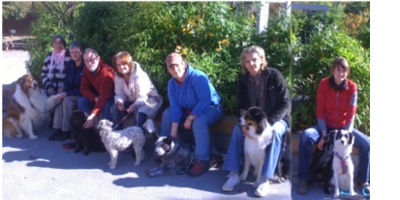 AKSchulhundRuhrgebiet15 10b.jpg