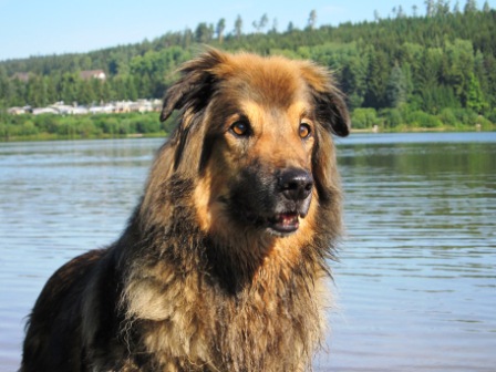 0811 Sommerferien 283.jpg