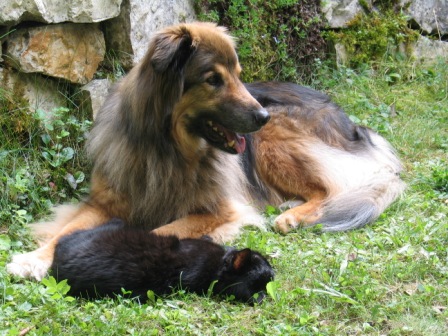 0811 Sommerferien 073.jpg