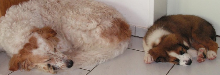 Sandy und Bea kl.jpg