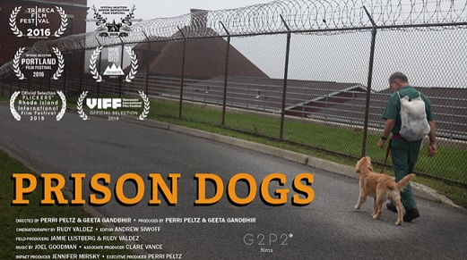 Prison dogs.jpg