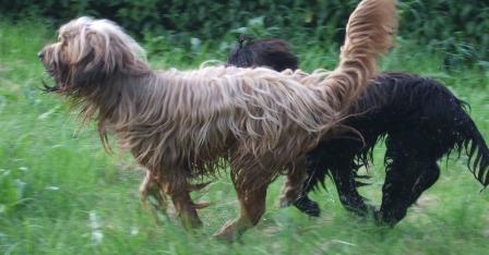 Momo und Motte kkk.jpg