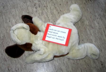 1109 Hunderegeln 025k.jpg