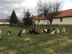 2019-02 Foto 1.JPG
