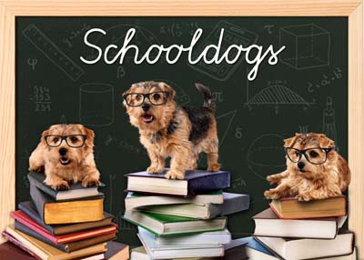 School and Dog.jpg