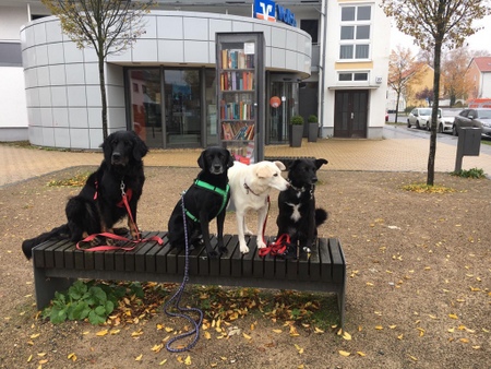 Bild1-16.11.2019.jpg