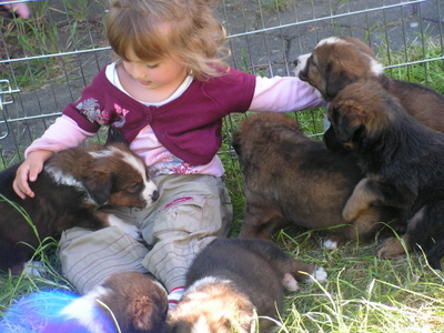 Welpen 8.5.08 017.jpg