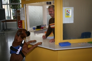 Schulh Hausm 5526.jpg