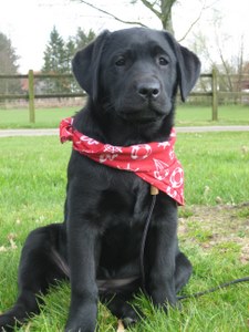 IMG 2835 - Kopie.JPG