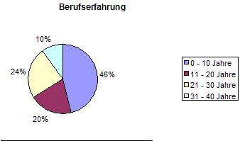 Berufserfahrung.JPG