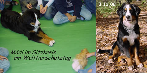 Schulhund maedi.jpg